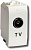 Розетка TV DKC 1 модуль 75721S, бежевая
